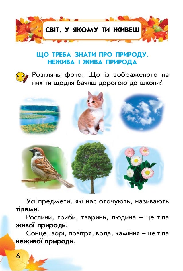 Картинки з живою природою Картинки з живою природою